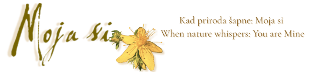 Moja si – cvijet Gospine trave, prirodan motiv s Lastova