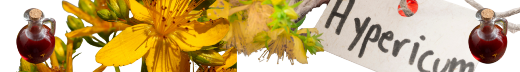 Moja si Kantarionovo ulje