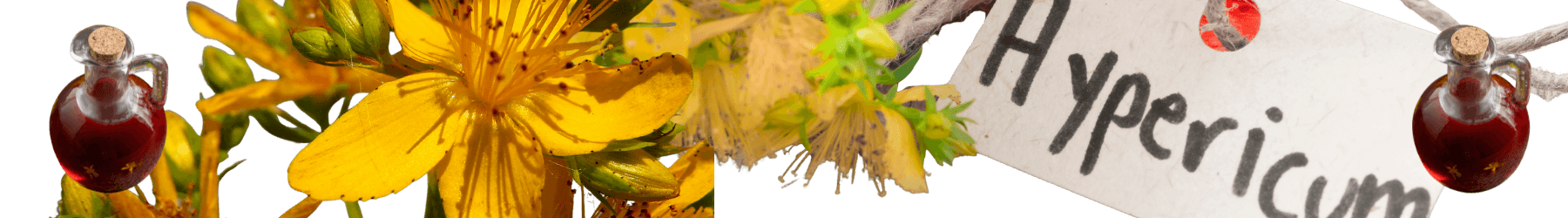 Moja si Kantarionovo ulje 